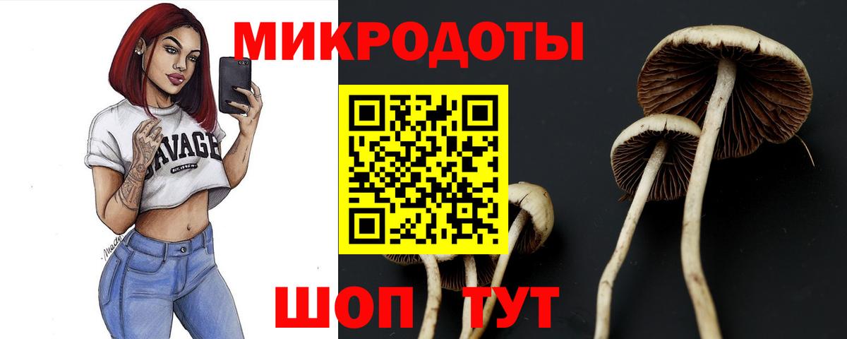 Галлюциногенные грибы мухоморы  Вход с VPN  Волгоград  Галлюциногенные грибы Psilocybine cubensis 